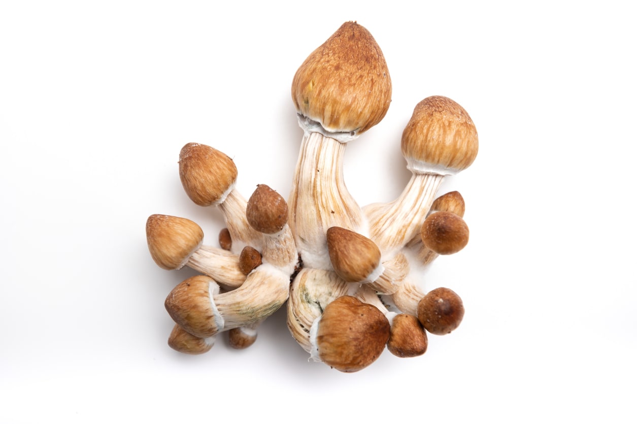 iStock-1311282196-min