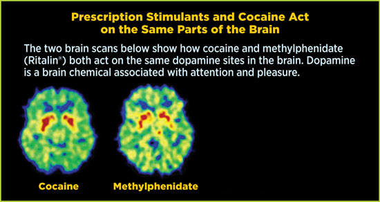ins3_brain_scans_box-1