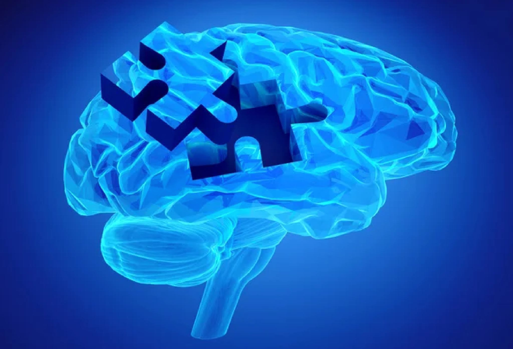brain